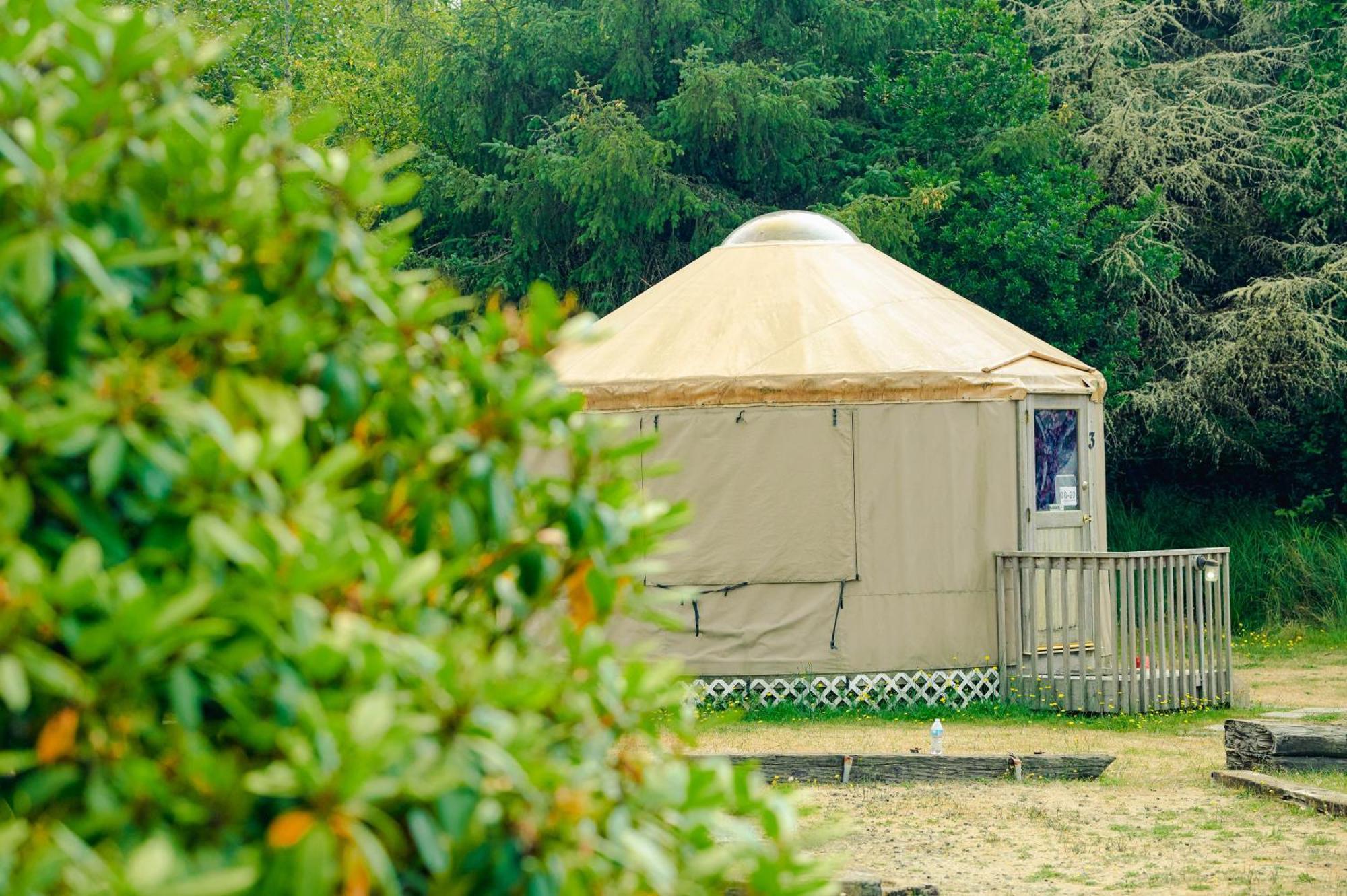 Long Beach Camping Resort Yurt 8 Oceanview Phòng bức ảnh